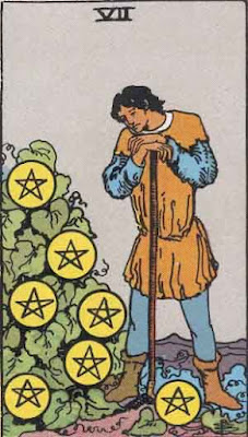 Seven of Pentacles reading