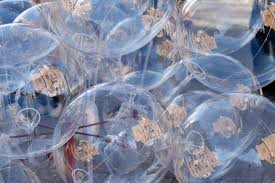 I paesi dell'Onu si impegnano a sviluppare un accordo giuridicamente vincolante contro l'inquinamento da plastica