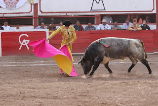 Promoción Tauromaquia