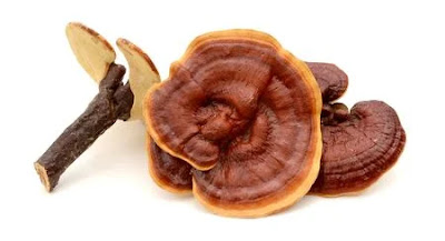 Ganoderma Mushroom Products in Lome.