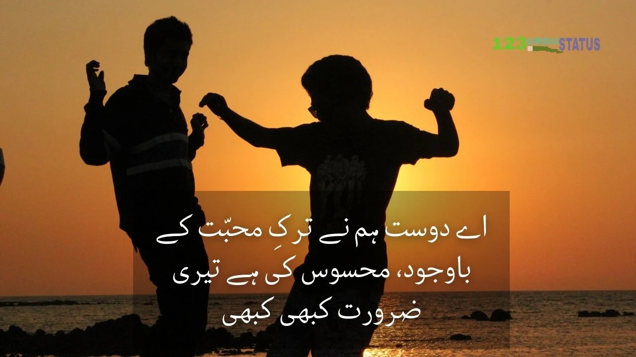 Best Collection of Quotes on Friendship in Urdu | Urdu Dosti Quotes