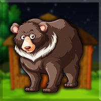 G2J Brown Bear Escape From Cage