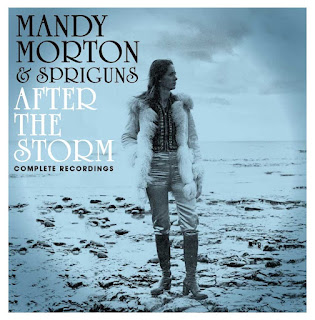 Mandy Morton Spriguns After The Storm