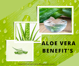 Aloe vera Benefit's you should know