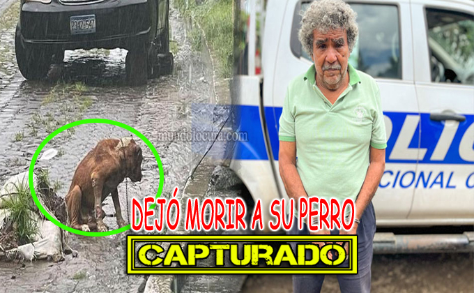 El Salvador: Arrestan a sujeto que dejò mojándose a su perrito amarrado en plena calle / El Can falleció victima del maltrato