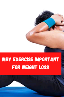 exercise cycle for weight loss olx