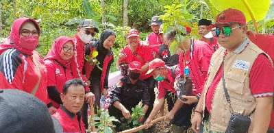 Sudin Ikuti Panen Raya Padi MSP dan Berikan Bantuan Alsintan di Lampung Tengah