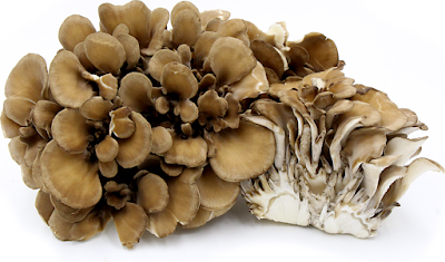Key active constituents of Maitake Mushrooms