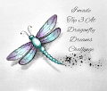 Dragonfly Dreams Challenge TOP 3