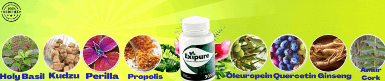 Lose weight Quickly With This Unique Dietary Supplement