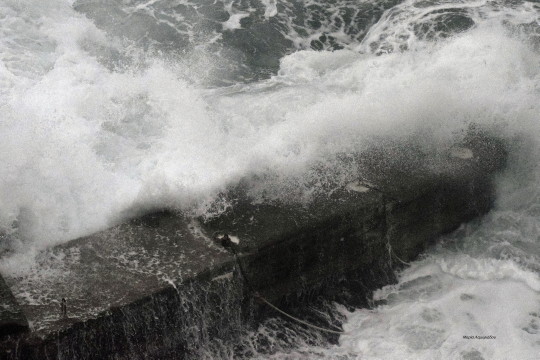 waves Andros Maria Lambriadou