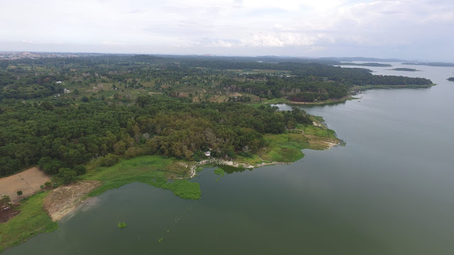 PT TDK Electronics Indonesia bekerja sama dengan BP Batam Gelar Penanaman Pohon di DTA Waduk Duriangkang