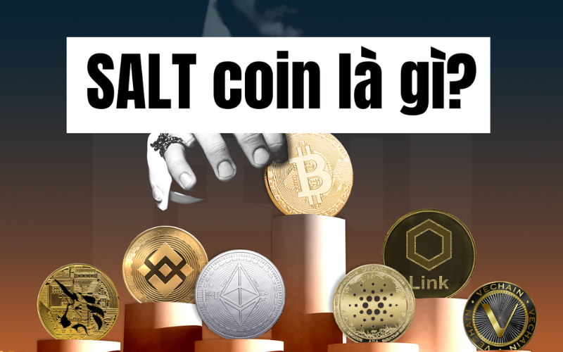 SALT coin là gì?