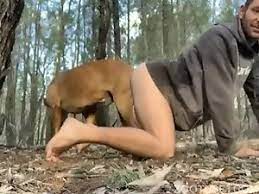 Man fucks with his horny brown dog