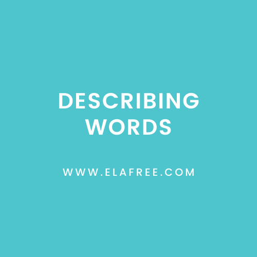 Describing Words Quiz