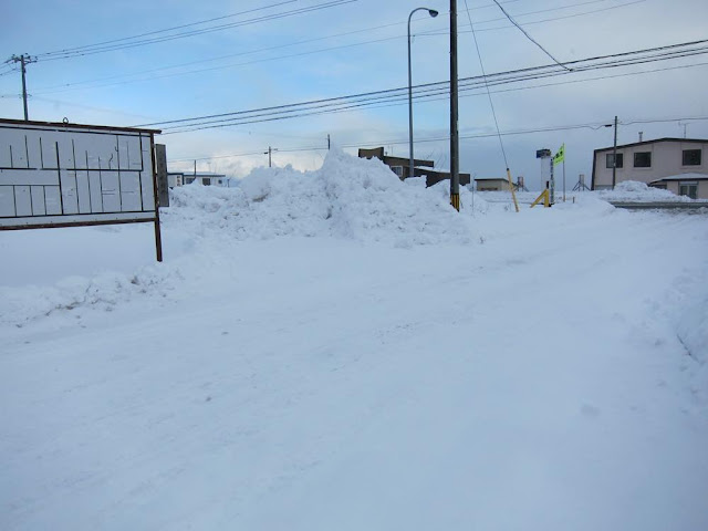 大雪　白老