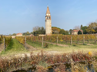 Mazzorbo and Venissa vineyard.