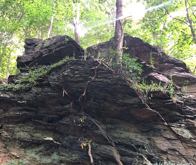 Loved looking at the nature sculpted angles of layered rock along the East Branch Brandywine Trail.