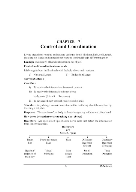 Control and Coordination Class 10 Notes | Science Chapter 6 Class 10 Notes