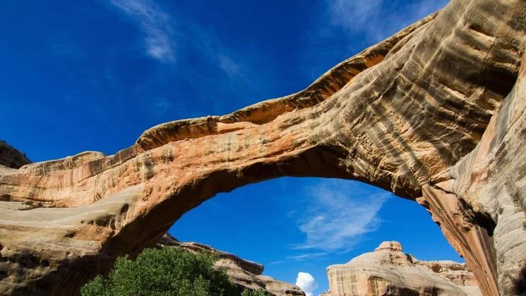 Natural Bridges National Monument