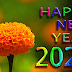 New Year 2022, SMS, Quotes, Blessings, Status, Messages, Greetings, Pinterest,Twitter, wishes,