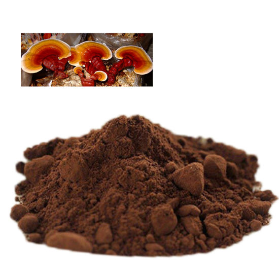 MycoNutra® Reishi mushroom extract | mushroom extract | MycoNutra® mushroom supplements