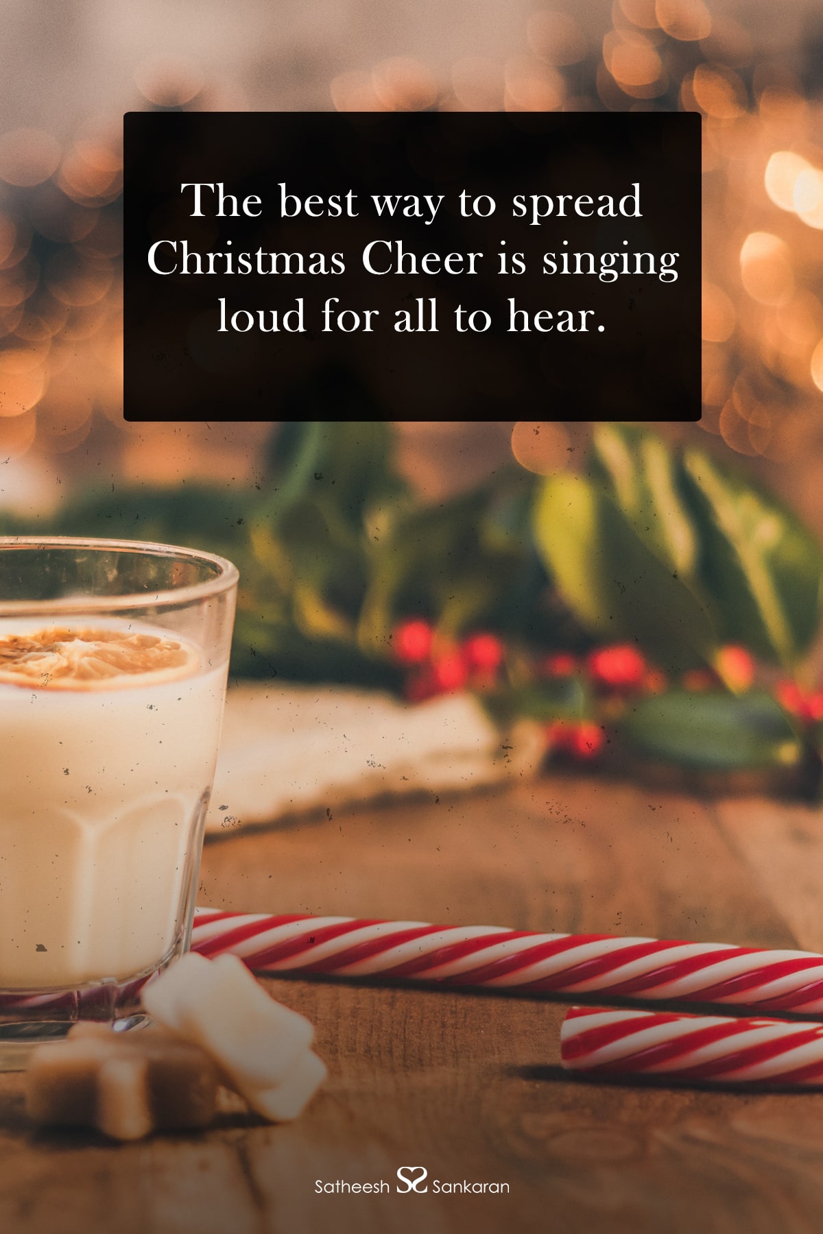 The best way to spread Christmas Cheer is singing loud for all to hear.