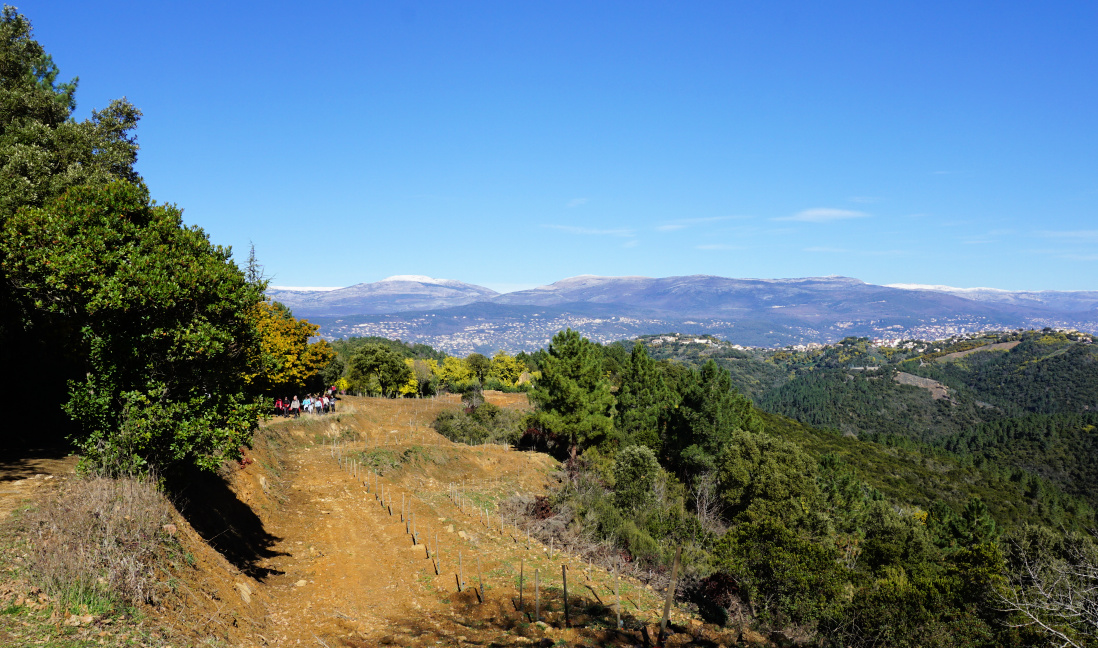 Grasse hinterland viewed from Tanneron