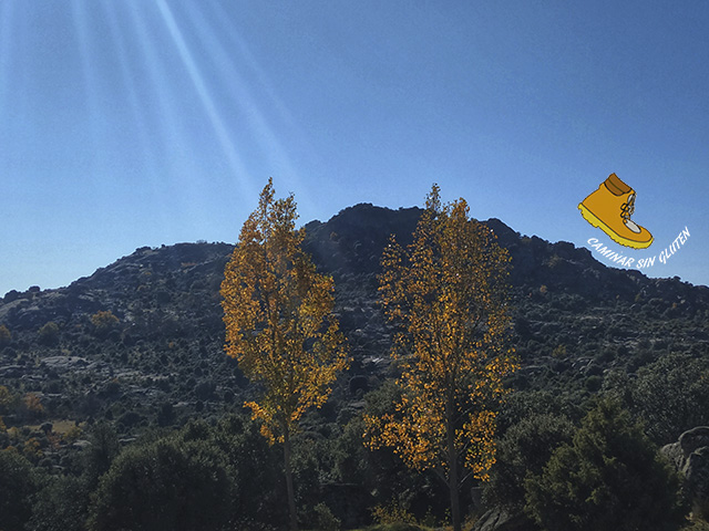 CERRO DE LA CABEZA EN LA CABRERA - VALDEMANCO