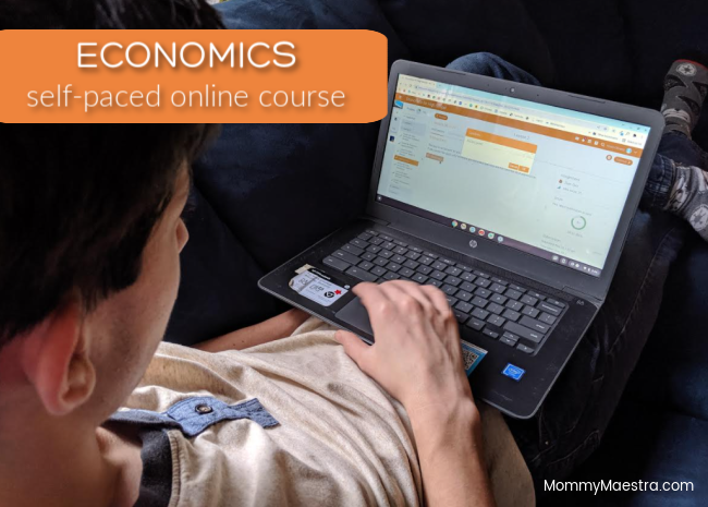 Economics self-paced online course from Mr. D Math