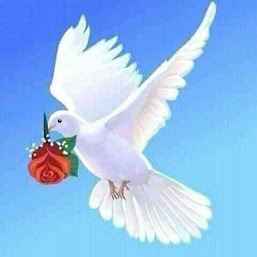 Urdu poetry99