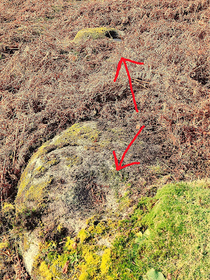 Bullaun Stone, Glendalough