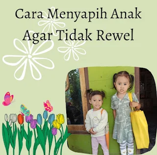 Cara menyapih anak