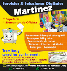 Servicios y soluciones Martínez