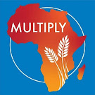 Multiply Podcast