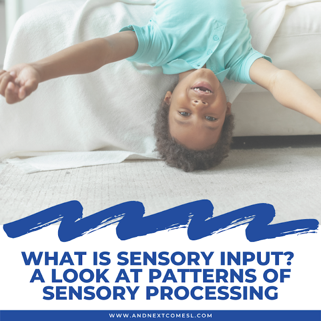 What is sensory input?