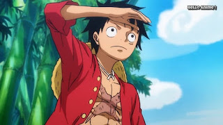 ワンピースアニメ 894話 ワノ国編 | ルフィ かっこいい | ONE PIECE Monkey D. Luffy