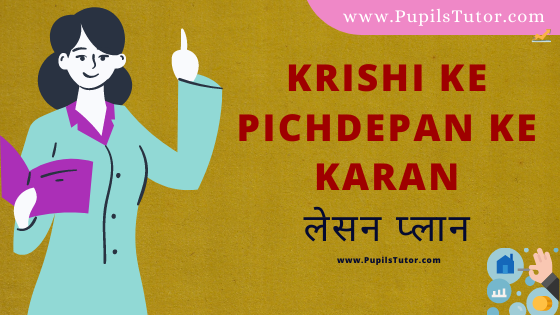 (कृषि के पिछड़ेपन का कारण पाठ योजना) Krishi Ke Pichdepan Ke Karan Lesson Plan Of Economics In Hindi On Macro And Real School Teaching Practice Skill For B.Ed, DE.L.ED, BTC, M.Ed 1st 2nd Year And Class 12th Teacher Free Download PDF | Cause Of Backwardness Of Agriculture Lesson Plan In Hindi - www.pupilstutor.com