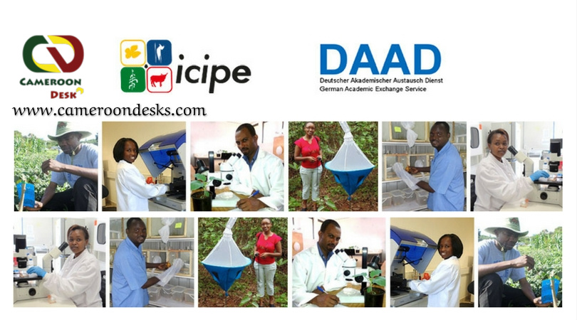 ARPPIS-DAAD PhD Scholarships for Study at icipe 2022