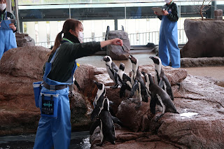 Kyoto Aquarium