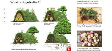 click on pic - What is Hugelkultur?
