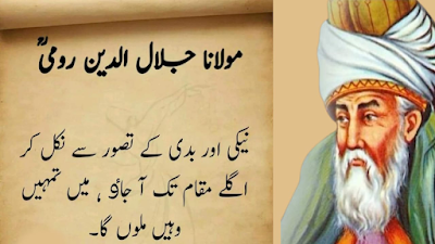 Maulana Rumi Quotes In Urdu