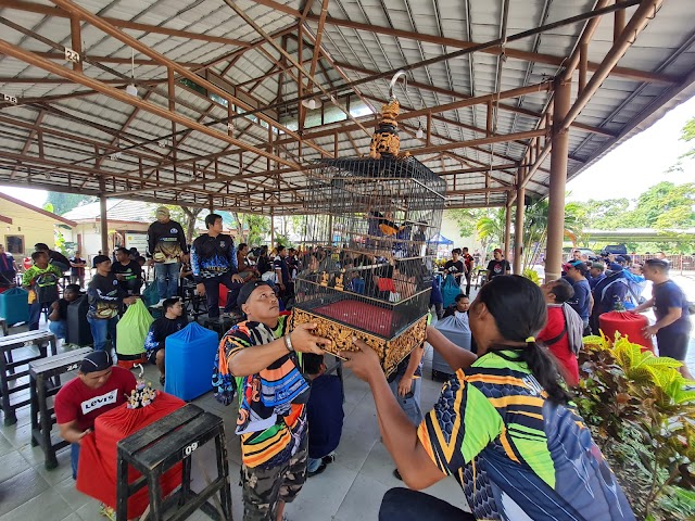 Lomba Kicau Burung Walikota Cup Banjarmasin Diikuti Peserta dari Luar Kalimantan