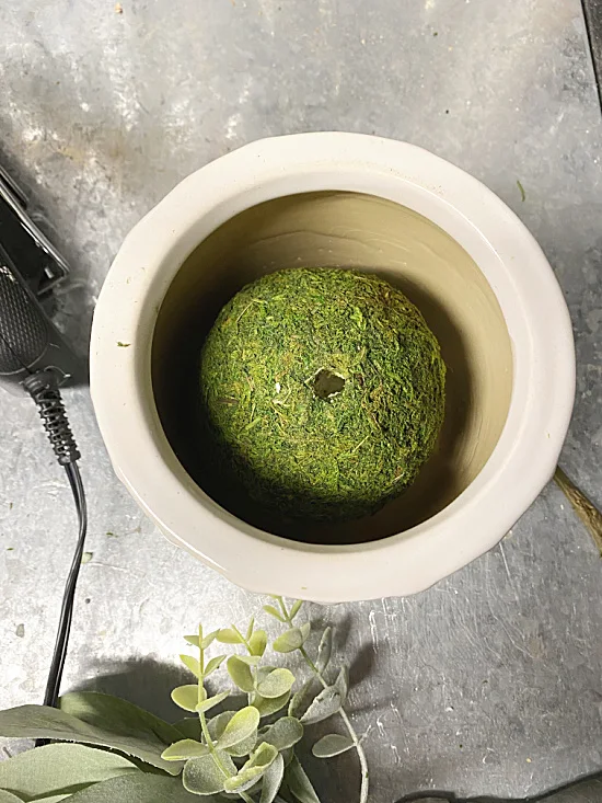 styrofoam moss ball in pot