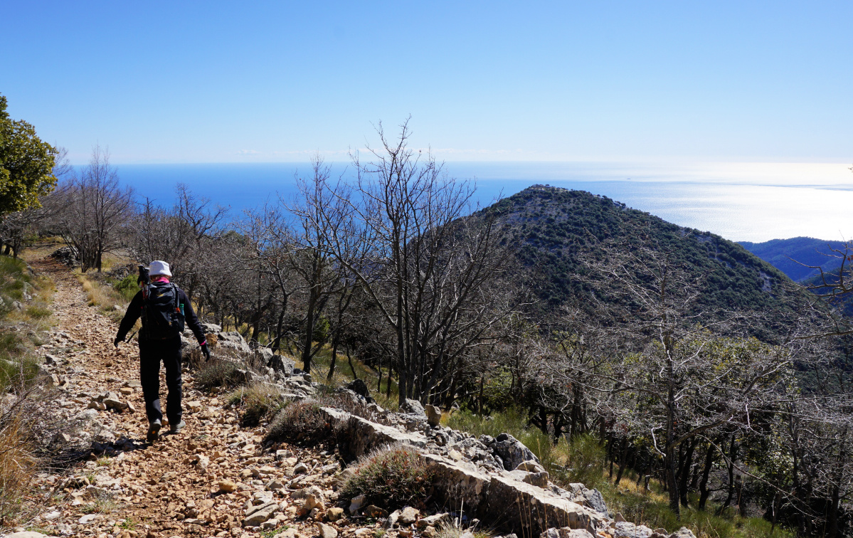 Military trail to Pic de Garuche