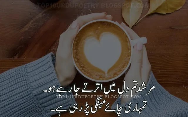 Tea poetry in urdu SMS Copy - Urdu Shayari Copy-Paste - A Tea Cup On Girl Hand