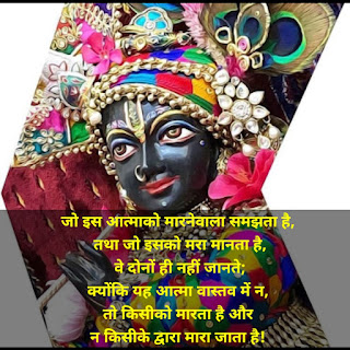 Real Bhagavad Gita Quotes In Hindi