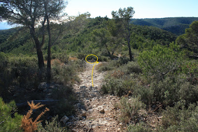 CIMS I COTES DEL BAIX PENEDÈS, EL VENDRELL-EL REPETIDOR-PUIG DEL LLEÓ-PUIG CLAPER-EL RAURELL-ROCA AGUILERA, Camí de la Serra Pedregosa en direcció a la Roca Aguilera