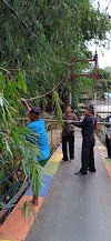 Khawatir Jadi Sarang Ular, Warga Pangkas Pohon Bambu di Tepi Sungai Ciliwung 