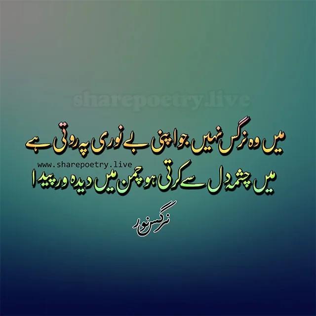 Nargis Noor Poetry - Two Lines Urdu Poetry Image and Video